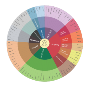 roue des arômes du vin